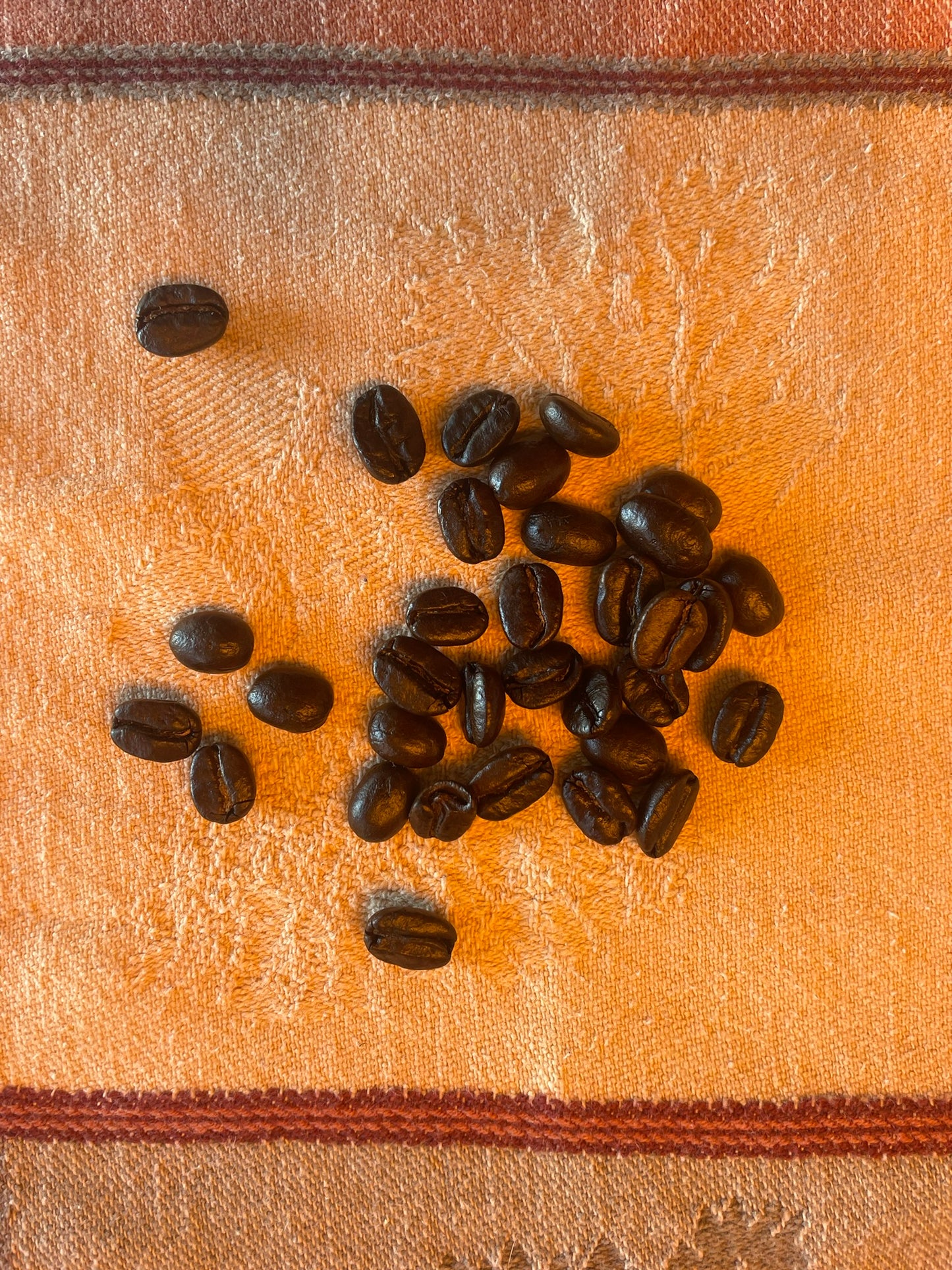 Colombian Supremo Summit Roast (Dark)